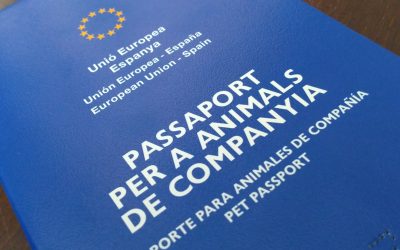 El Pasaporte Europeo