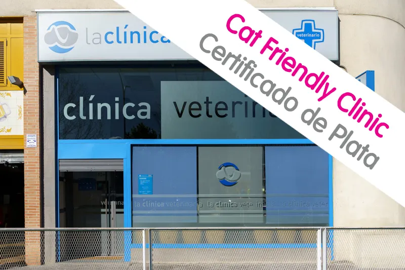 clínica veterinaria Cat friendly Clinic